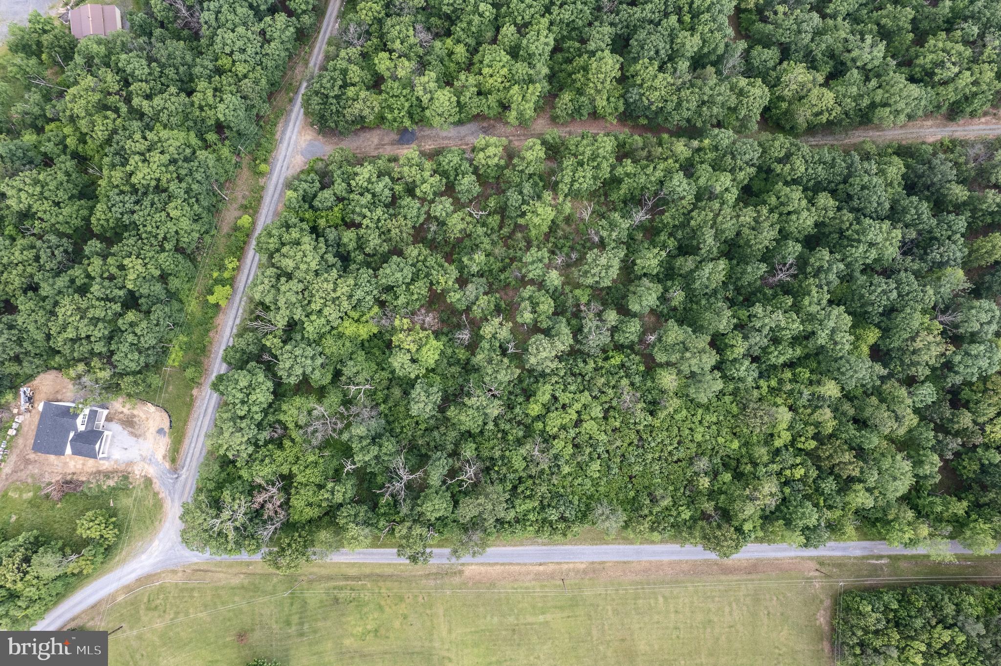 4-5 Glen Ridge Road Winchester, VA 22602 - Photo 10 of 10 a view of a yard