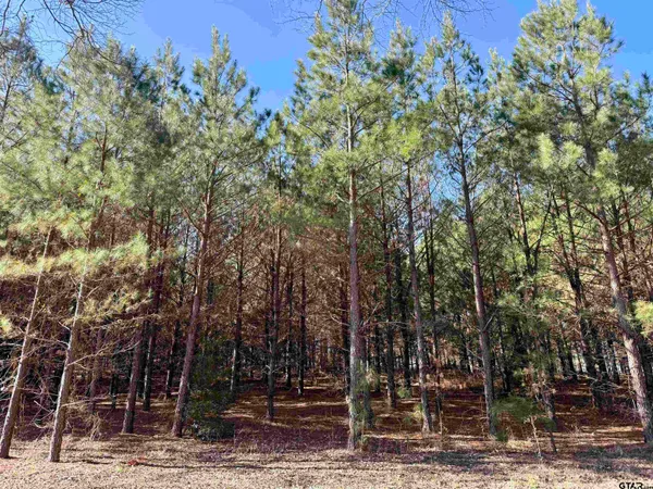 $129,000 | 8 Hwy 271 Gladewater Tx 75647, Gladewater, TX 75647