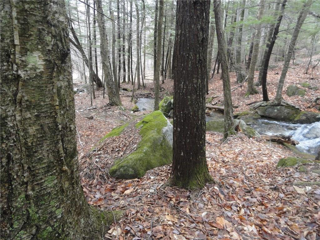 0 Redding-saunders Road Bryant Pond, ME 04219 - Photo 10 of 29 Photo