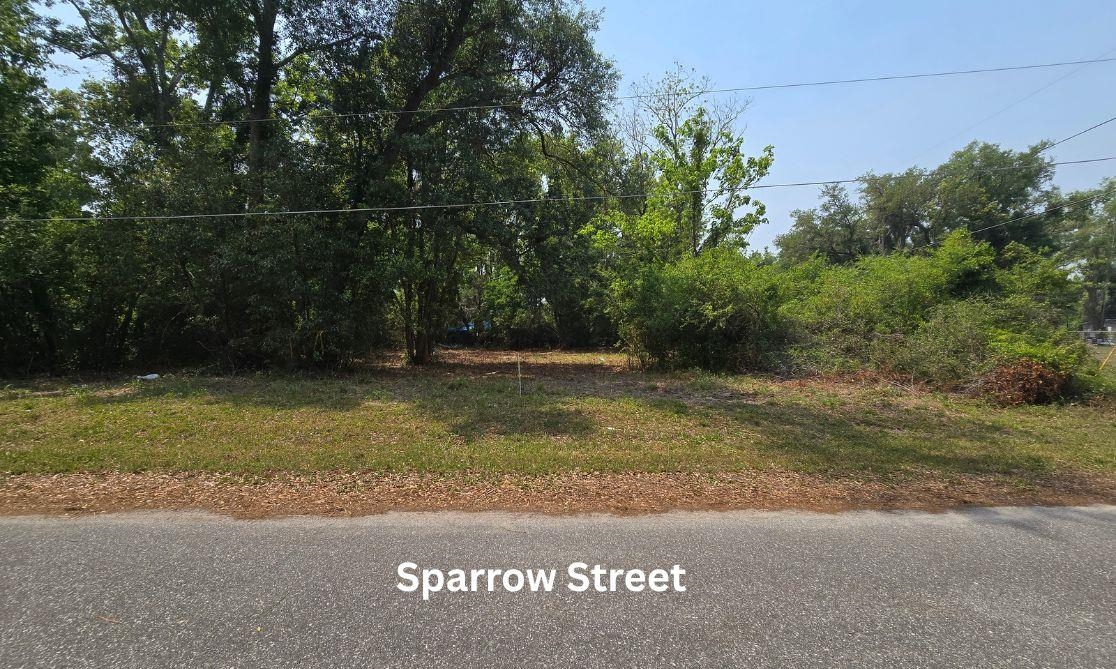 1302 South Center Street Perry, FL 32348 - Photo 18 of 19 Gallery Image 18