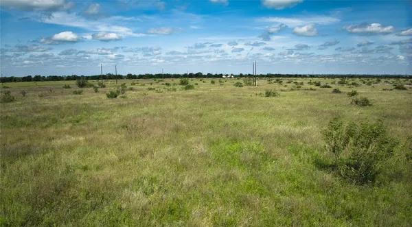 a view of a yard