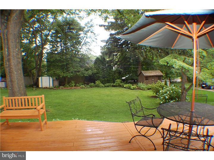 317 Eagle Road Wayne, PA 19087 - Photo 14 of 17 Back Yard