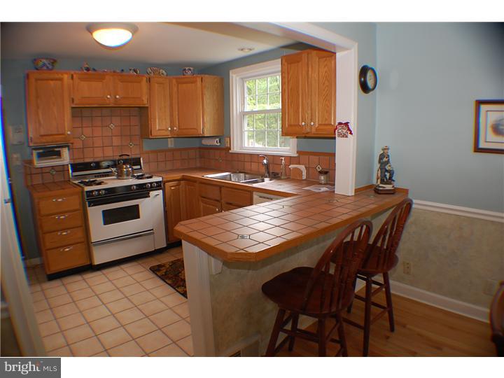 317 Eagle Road Wayne, PA 19087 - Photo 4 of 17 Kitchen