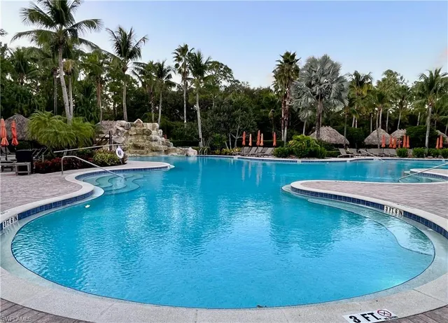 a view of a swimming pool with a lawn chairs under palm trees