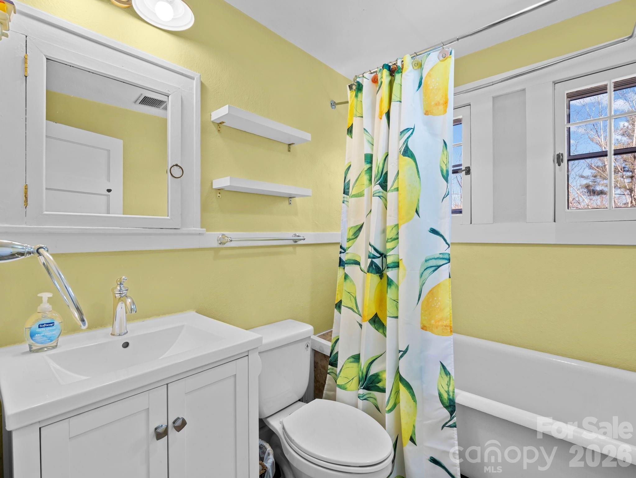 439 Lockhart Road Tryon, NC 28782 - Photo 25 of 43 a bathroom with a sink a toilet and shower