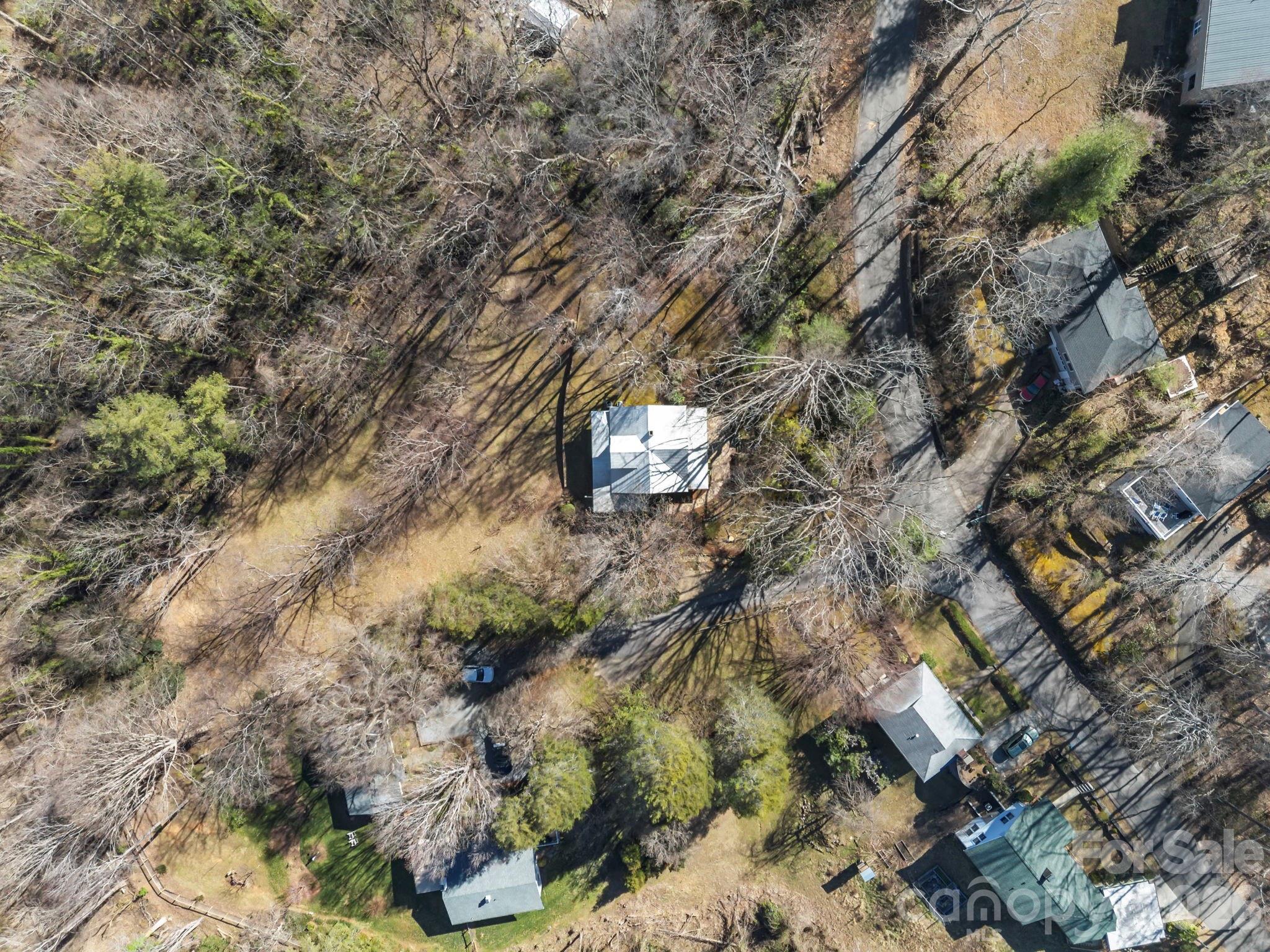 439 Lockhart Road Tryon, NC 28782 - Photo 36 of 43 a picture of tree