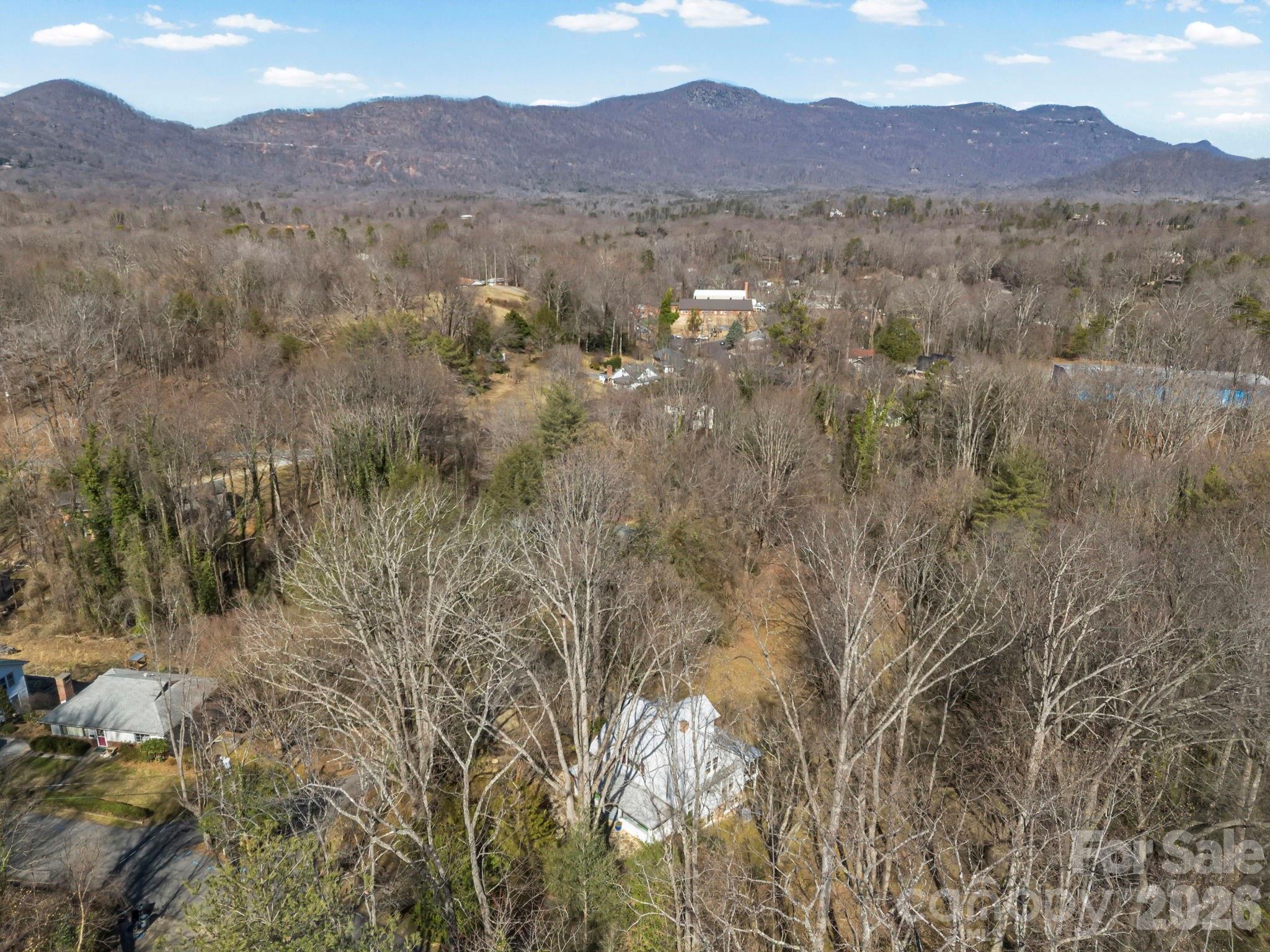 439 Lockhart Road Tryon, NC 28782 - Photo 39 of 43 a view of an mountain with a outdoor space