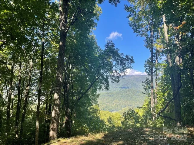 a view of lake from a tree