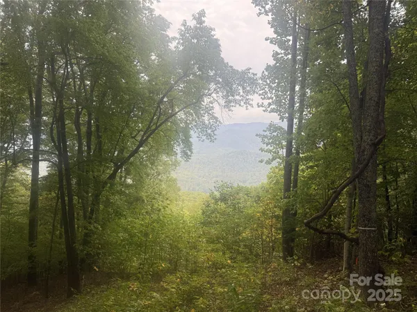 a view of lake