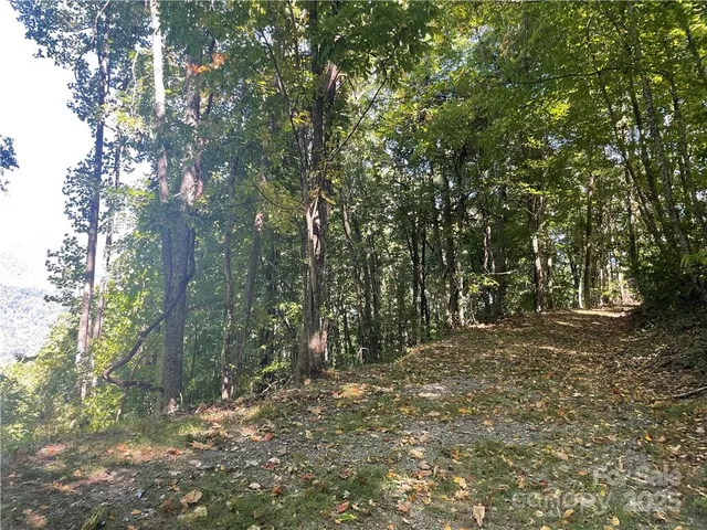 a view of outdoor space and trees