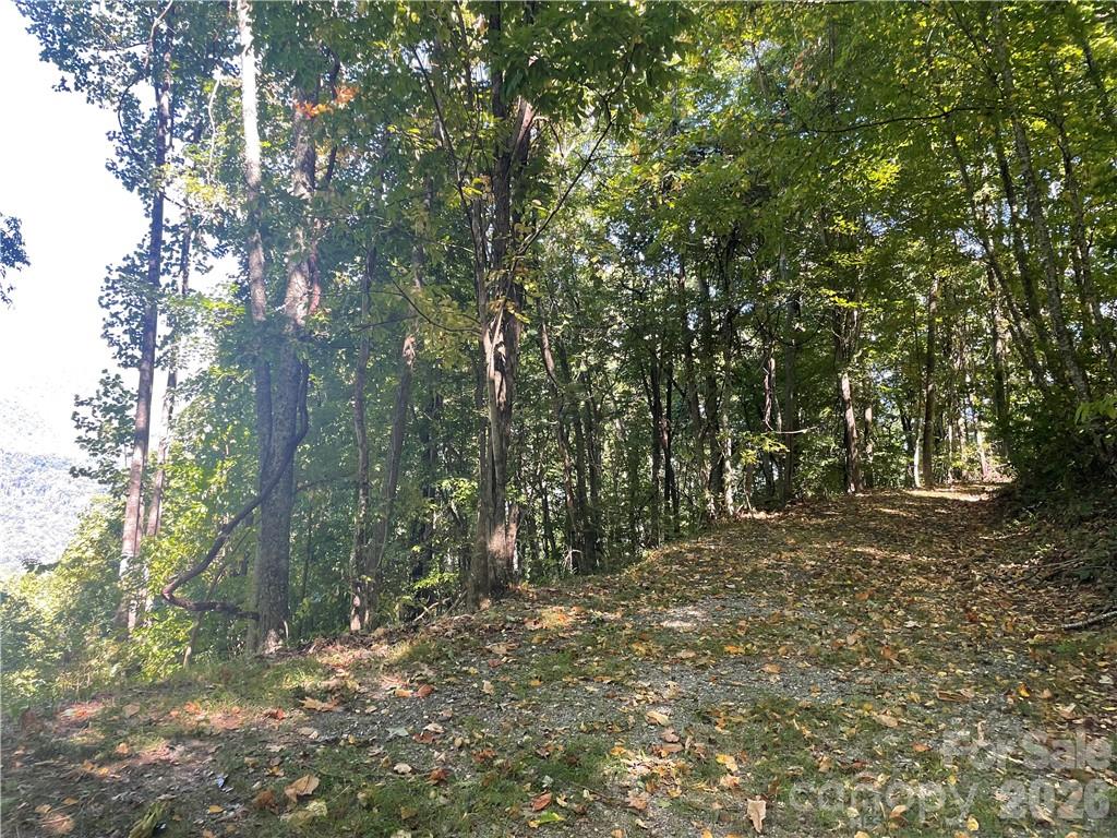 768 Boar Rdg Road, Unit 121 Sylva, NC 28779 - Photo 9 of 25