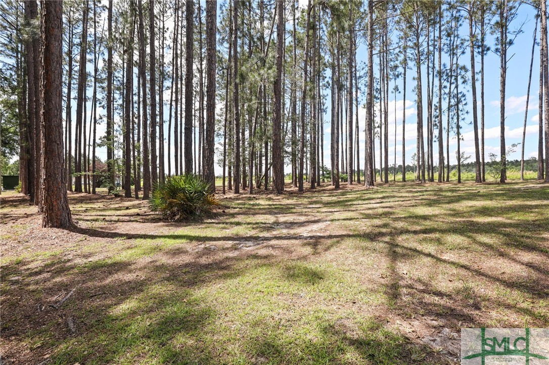 621 Aaron Holland Road Jesup, GA 31545 - Photo 41 of 41 Gallery Image 41