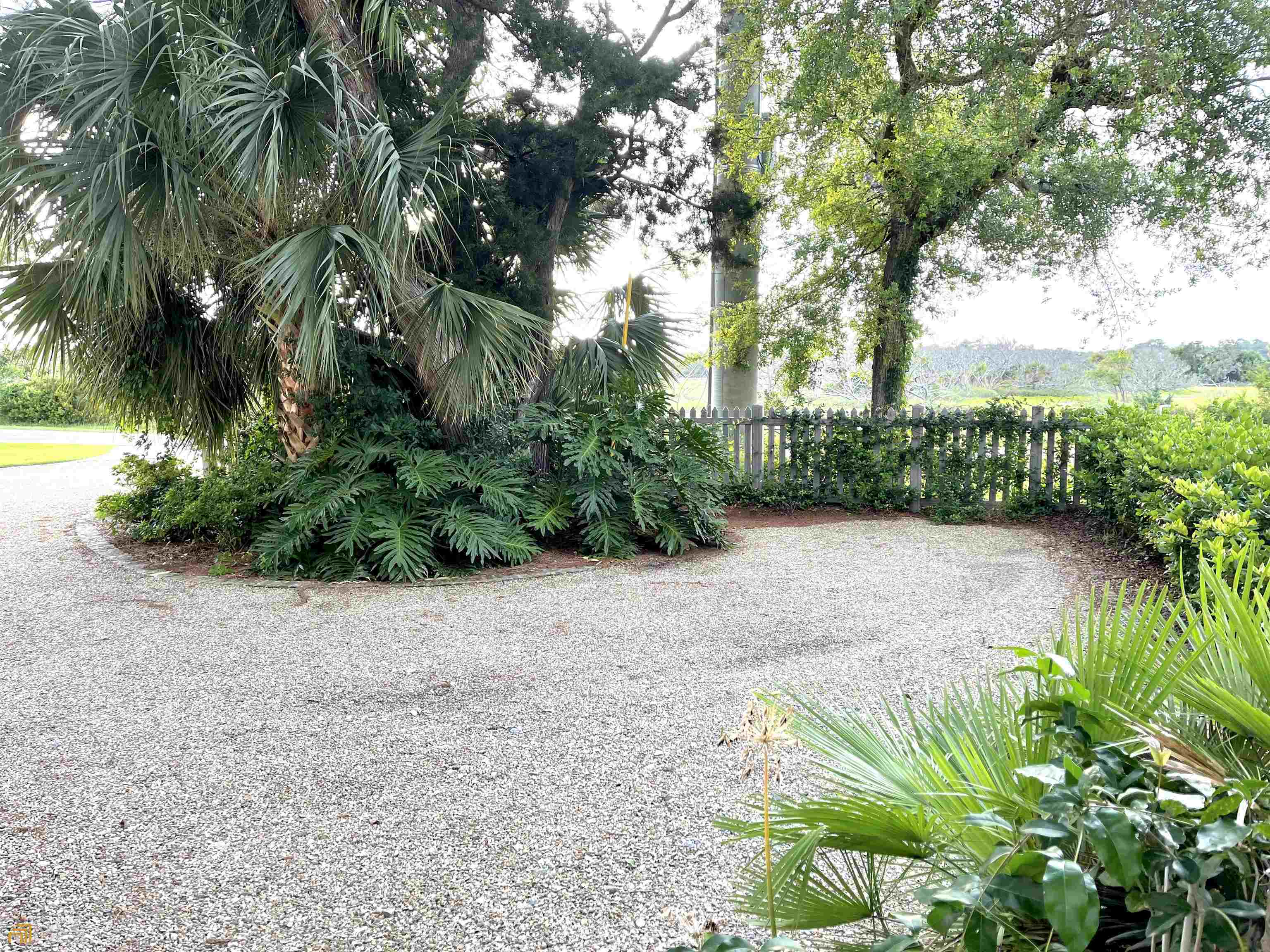 1548 Ocean Boulevard St. Simons, GA 31522 - Photo 59 of 64 a view of a garden with plants and trees