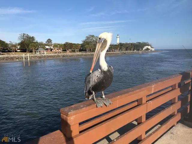 $7,950 | 1548 Ocean Boulevard, St. Simons, GA 31522