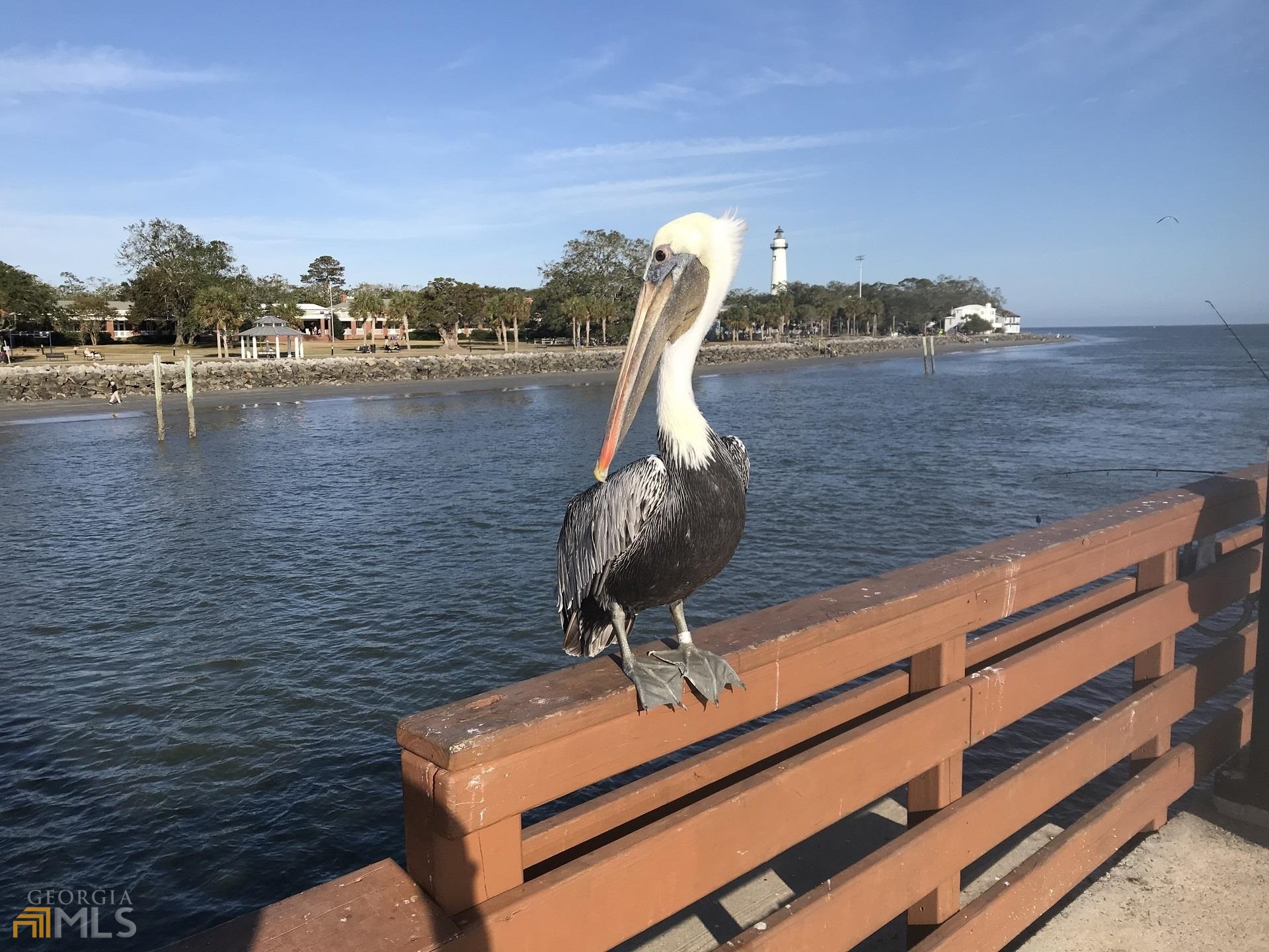 1548 Ocean Boulevard St. Simons, GA 31522 - Photo 63 of 64