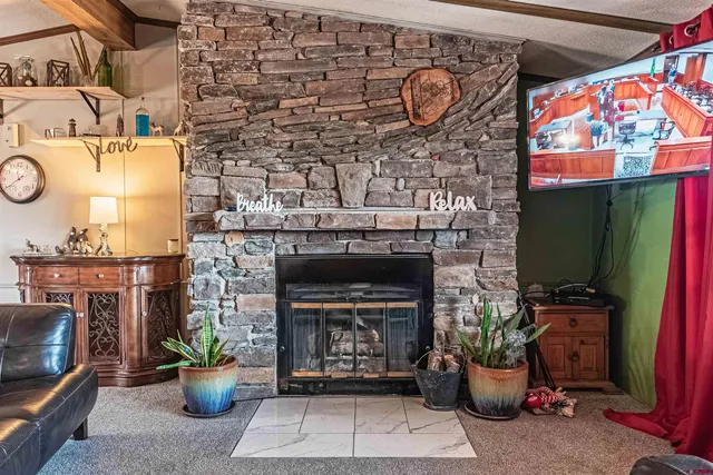 a living room with a fireplace and a potted plant