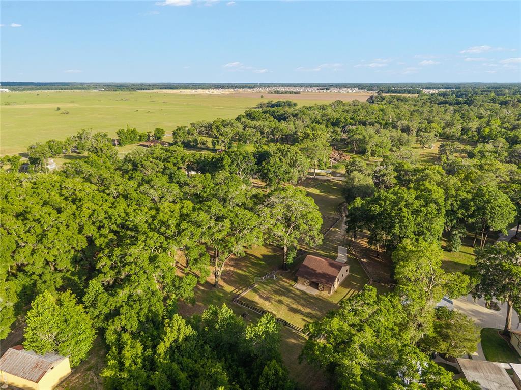 8117 Southwest 41st Place Road Ocala, FL 34481 - Photo 24 of 55