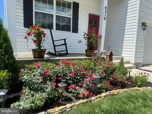 a view of a flower garden in front of house