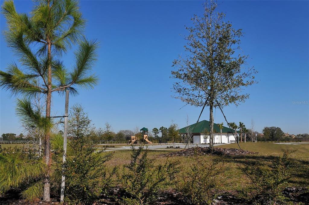 16622 Kendleshire Terrace Lakewood Ranch, FL 34202 - Photo 43 of 76