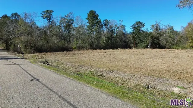 $95,000 | 28519 Horseshoe Road, Independence, LA 70443