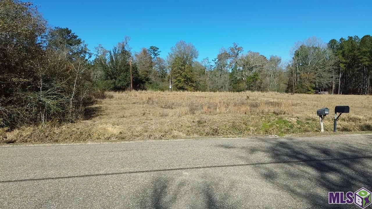 28519 Horseshoe Road Independence, LA 70443 - Photo 4 of 9