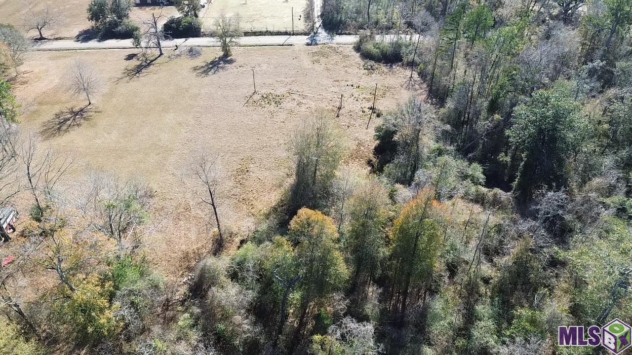 28519 Horseshoe Road Independence, LA 70443 - Photo 6 of 9