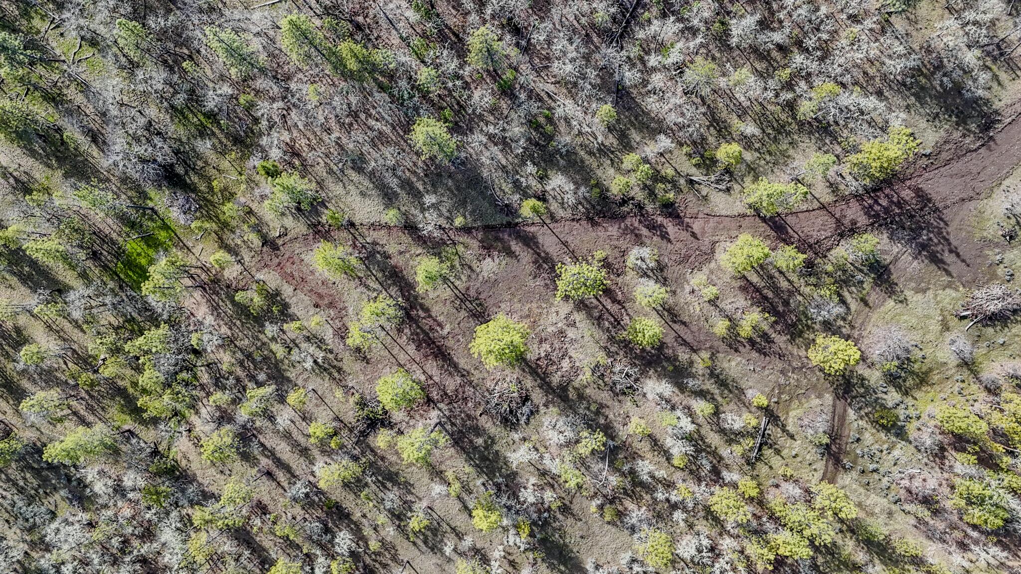 506 Greenleaf Drive Eagle Point, OR 97524 - Photo 14 of 38 DJI_20260227135822_0519_D-HDR