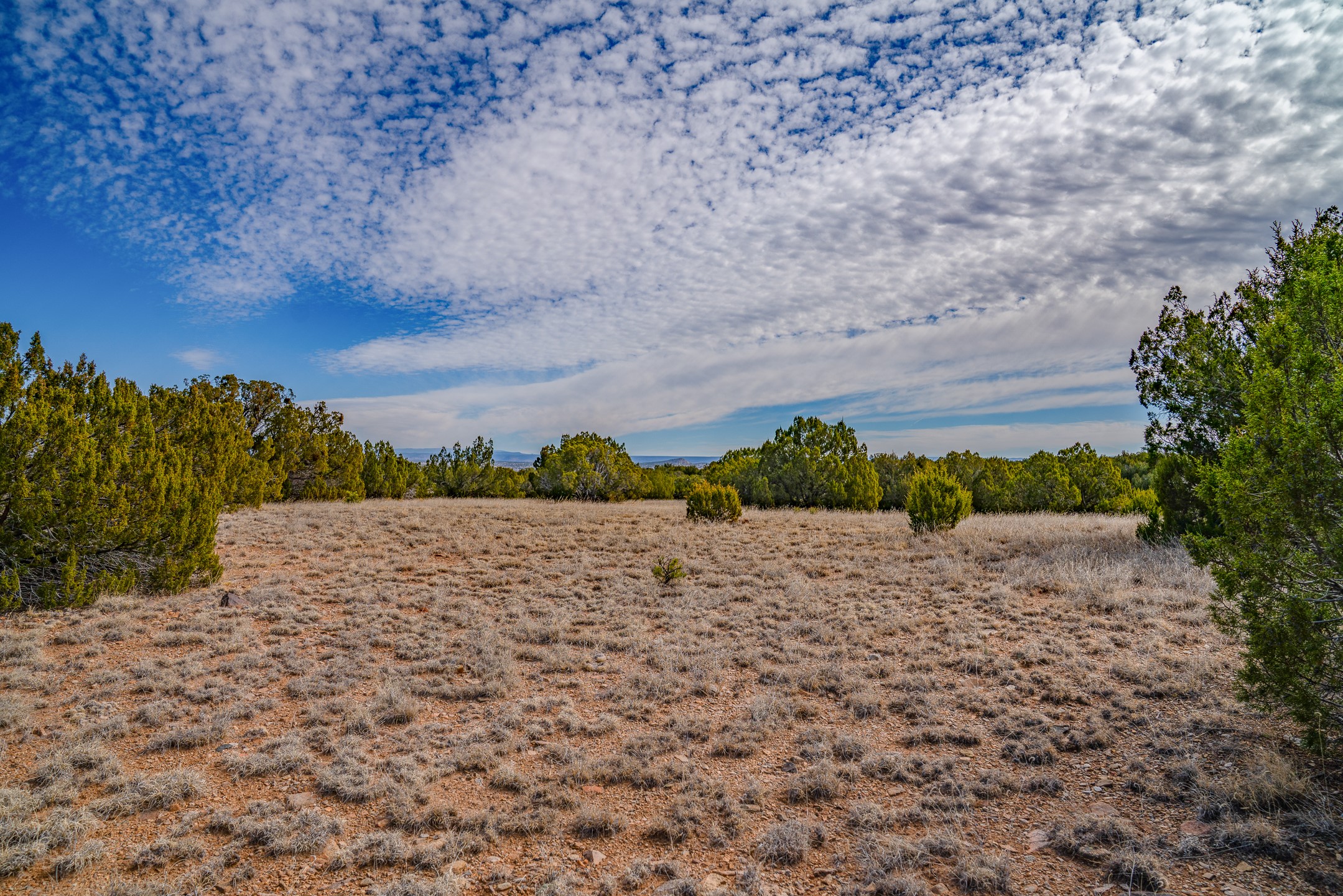 65 Grenfell Ranch Road Cerrillos, NM 87010 - Photo 16 of 46