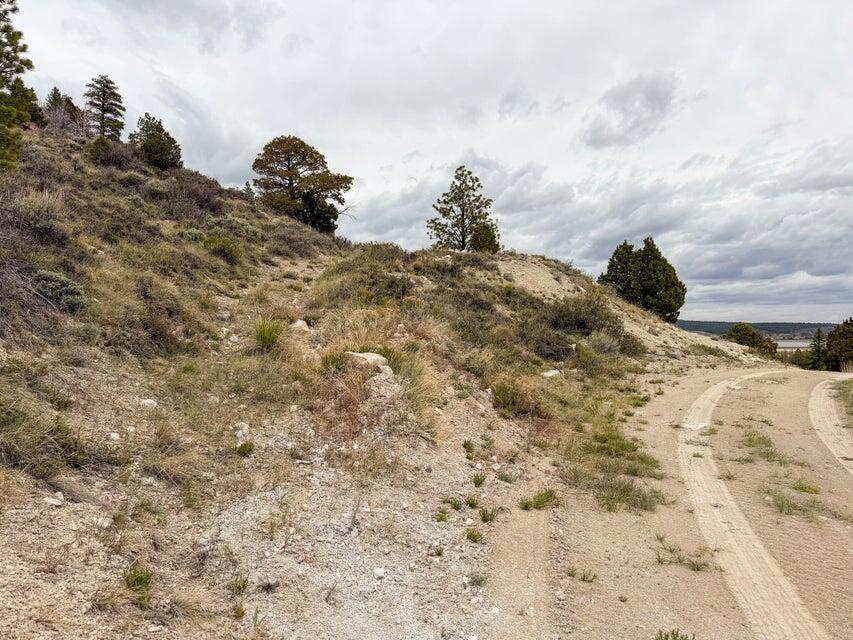 69 Forest Garden Hatch, UT 84735 - Photo 3 of 20 Lot 69 Forest Garden