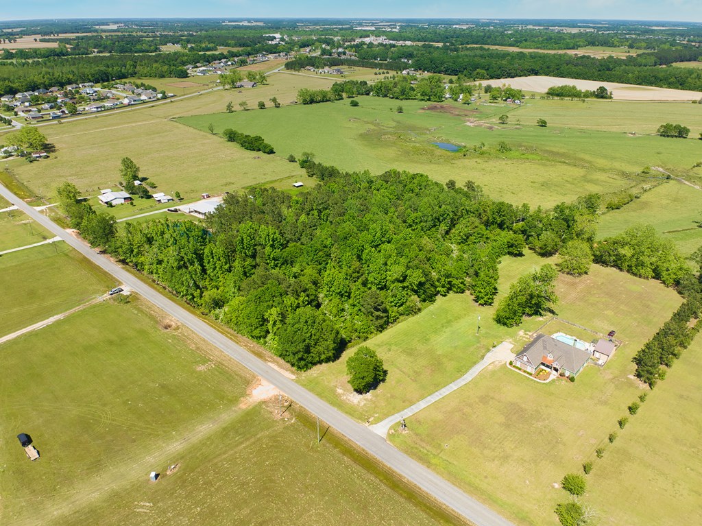 0 Suggs Road Headland, AL 36345 - Photo 2 of 7