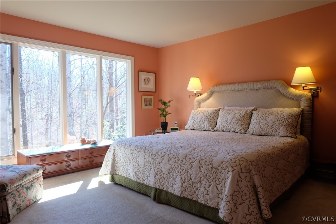 3113 Stony Point Road, Unit UD Richmond, VA 23235 - Photo 15 of 30 Gallery Image 15