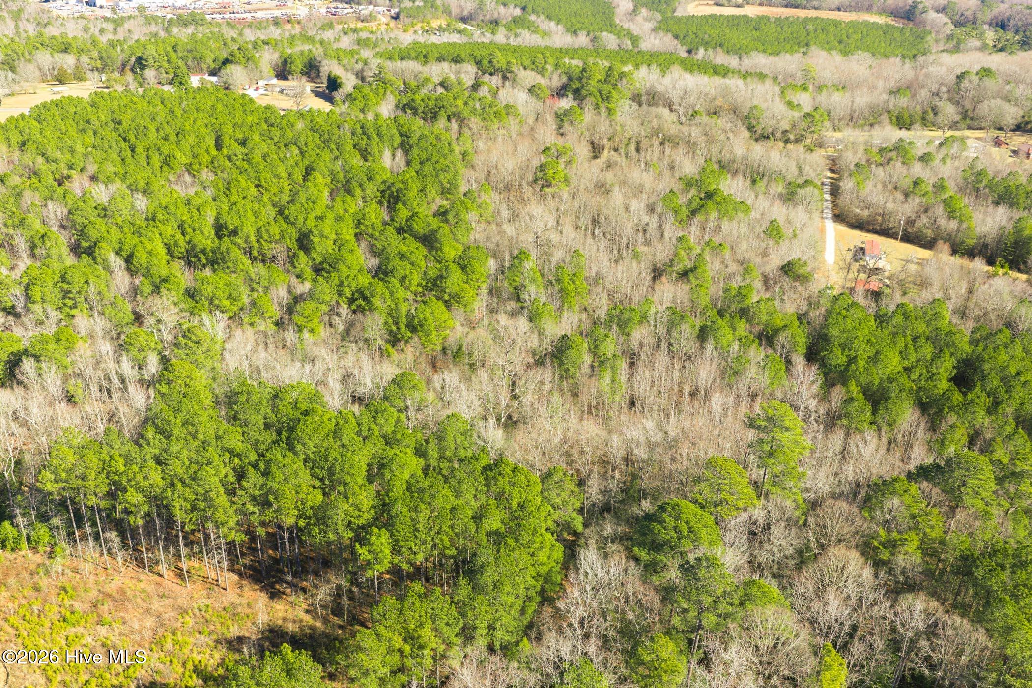 511 Midway Road Rockingham, NC 28379 - Photo 5 of 14 511 Midway Rd