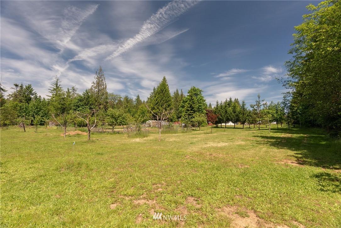 110-156 Rawlins Road Winlock, WA 98596 - Photo 17 of 20