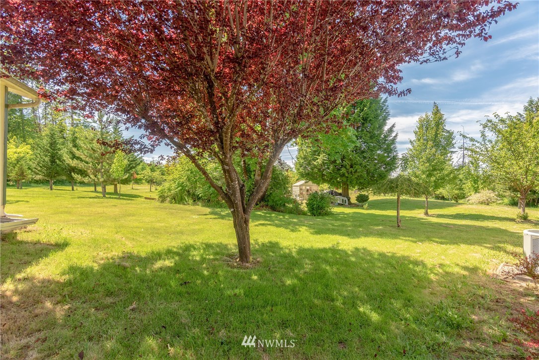 110-156 Rawlins Road Winlock, WA 98596 - Photo 19 of 20
