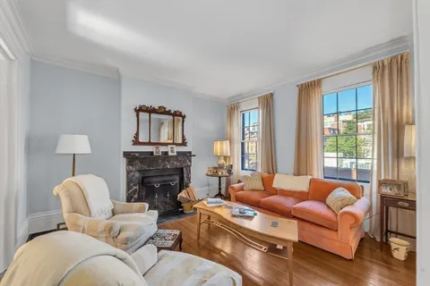 a living room with furniture a fireplace and a potted plant