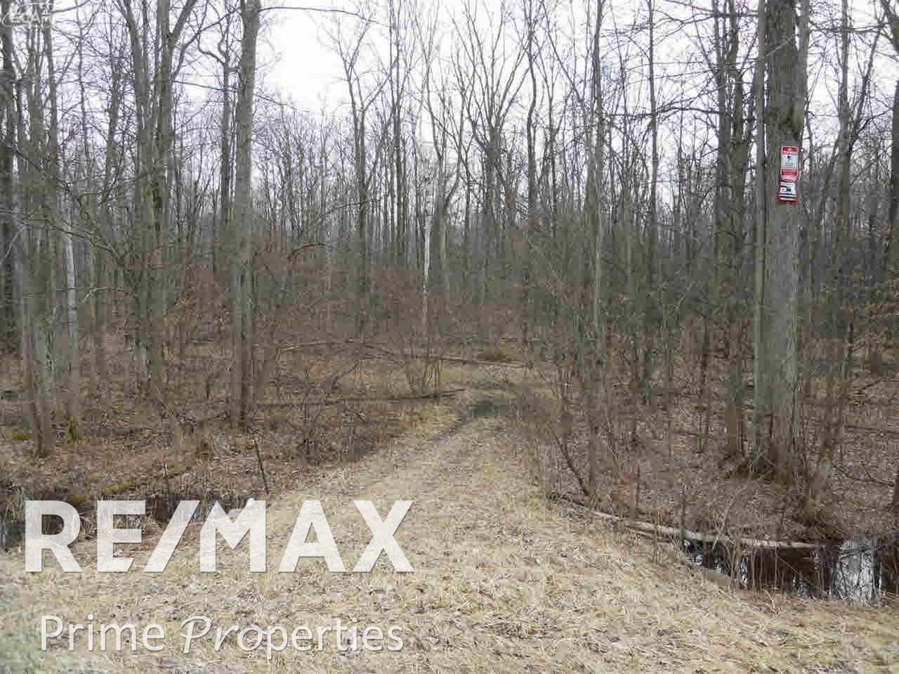 0 Ormes Road Millington, MI 48746 - Photo 3 of 7