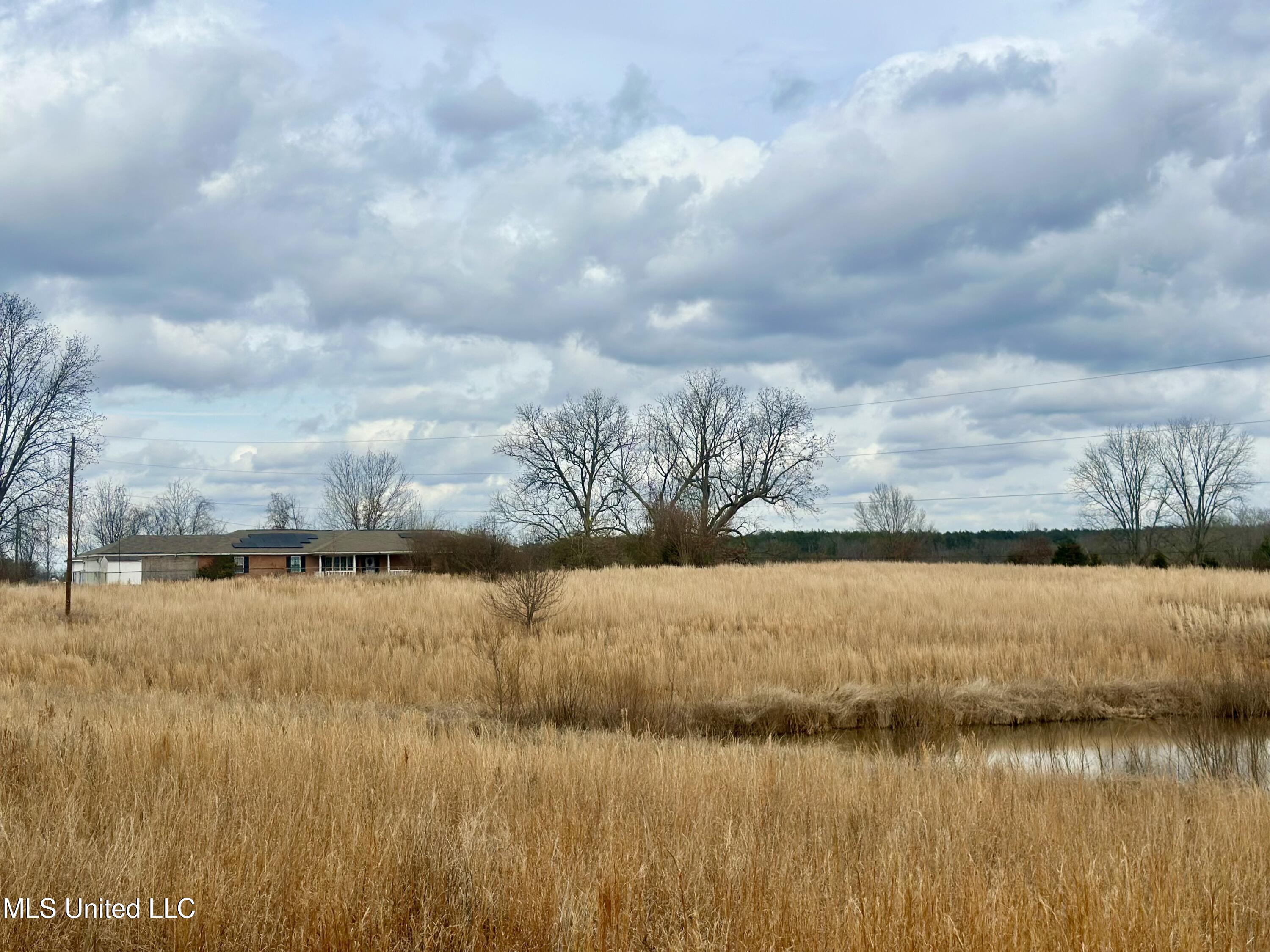 6525 Ebenezer-Pickens Road Pickens, MS 39146 - Photo 1 of 19 IMG_9483