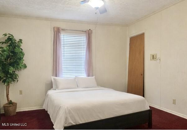 6525 Ebenezer-Pickens Road Pickens, MS 39146 - Photo 16 of 19 IMG_9586