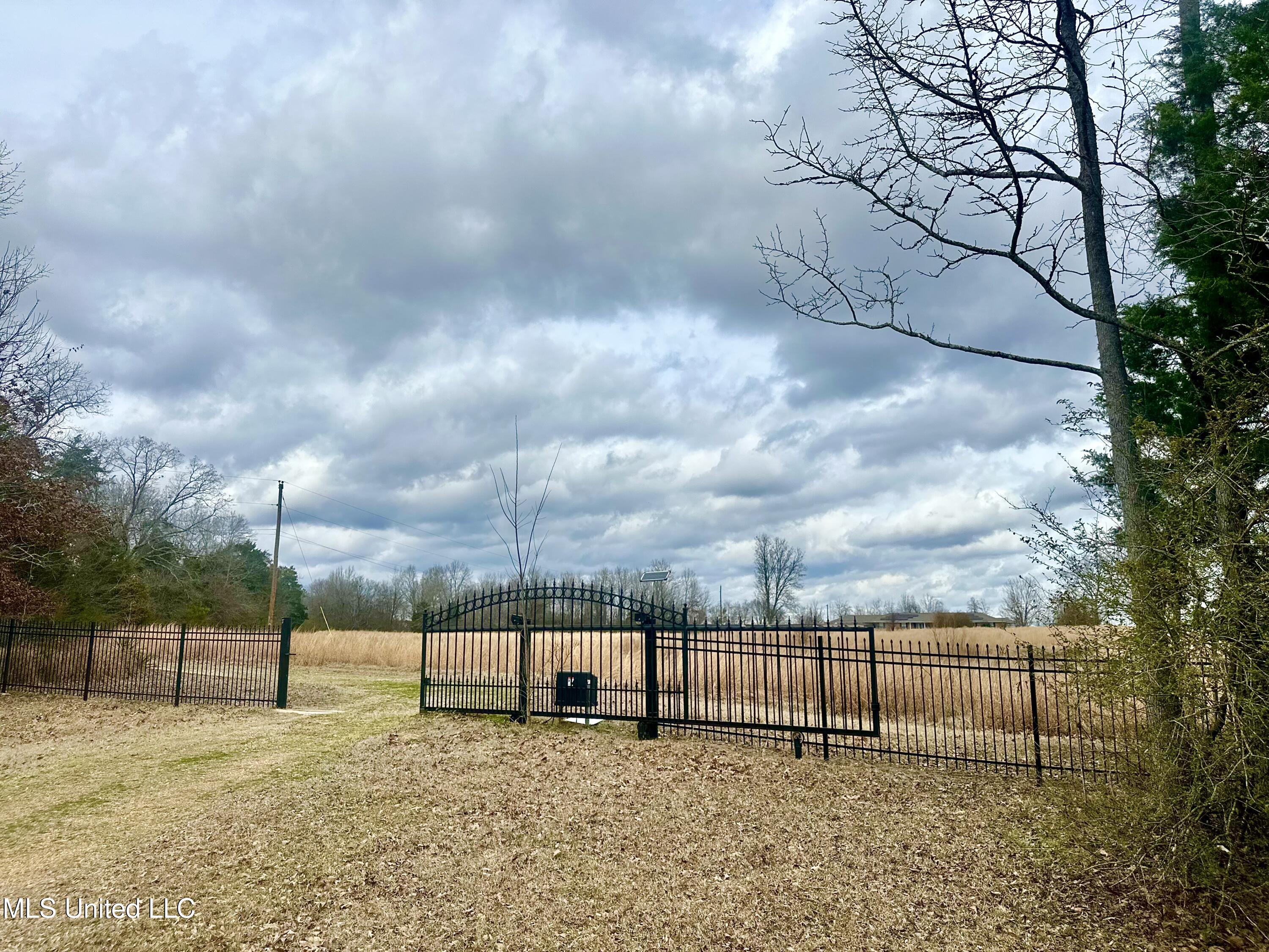 6525 Ebenezer-Pickens Road Pickens, MS 39146 - Photo 2 of 19 IMG_9462