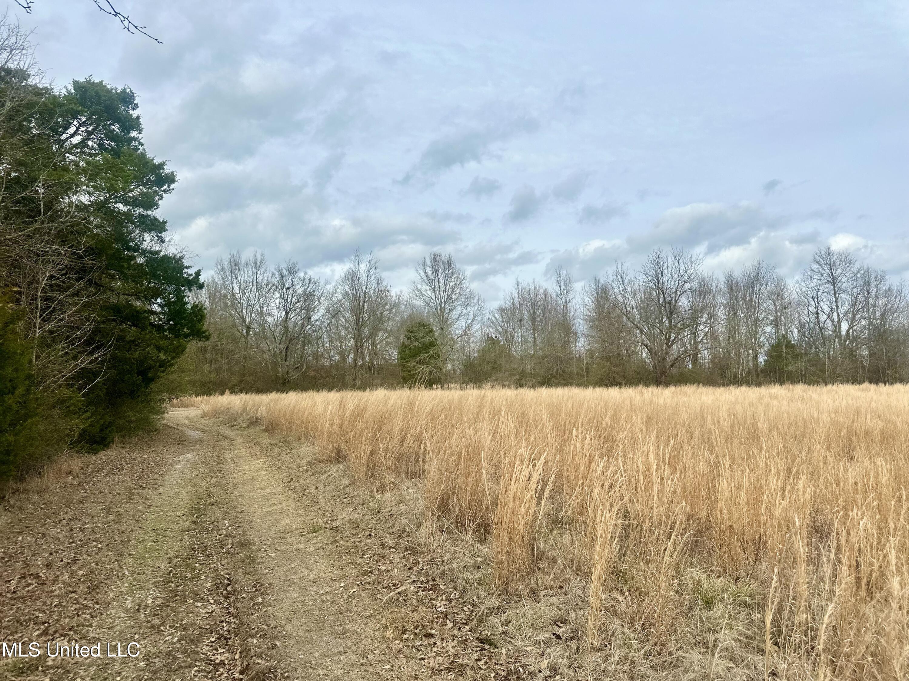 6525 Ebenezer-Pickens Road Pickens, MS 39146 - Photo 3 of 19 IMG_9502