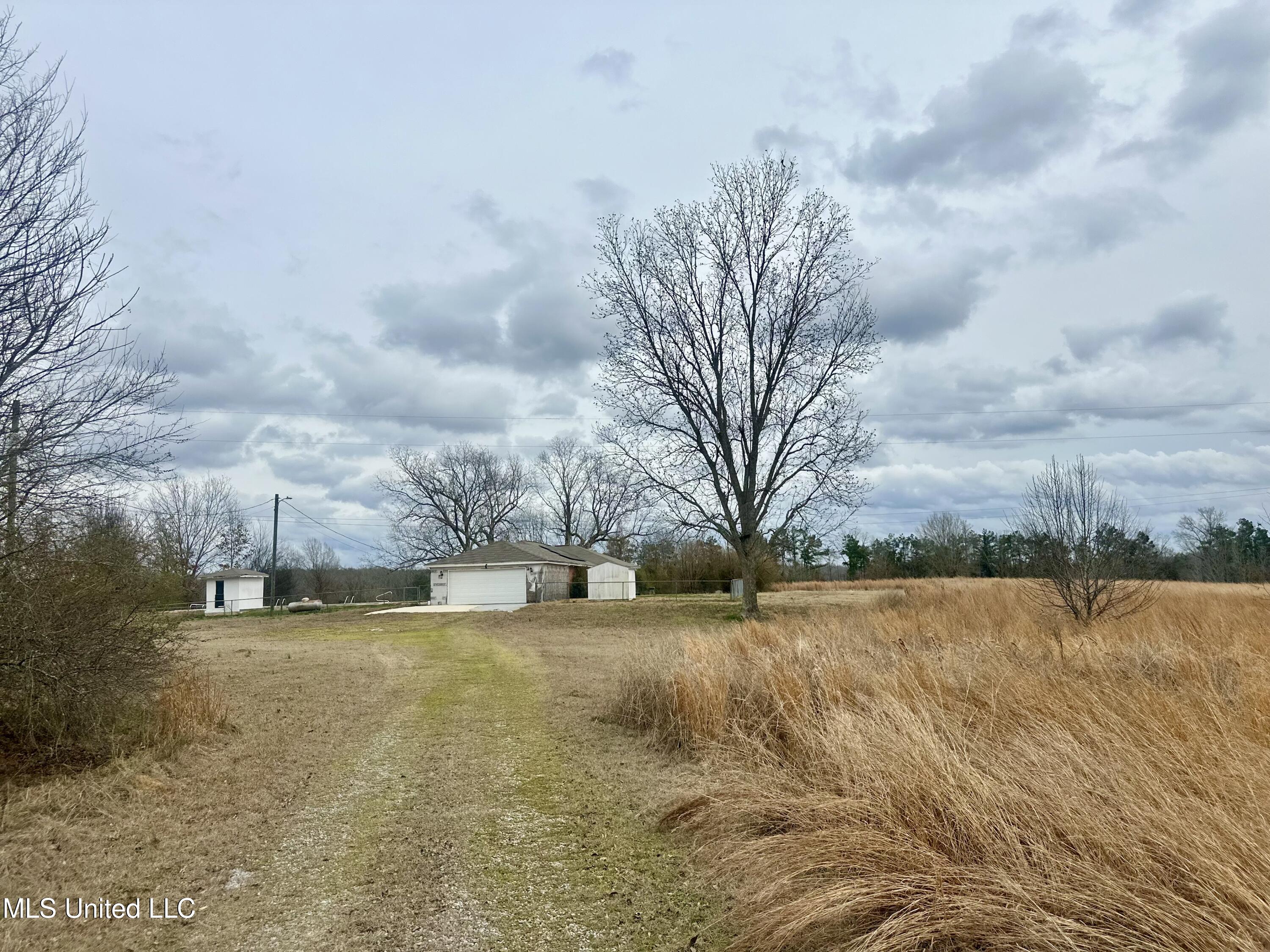 6525 Ebenezer-Pickens Road Pickens, MS 39146 - Photo 6 of 19 IMG_9506