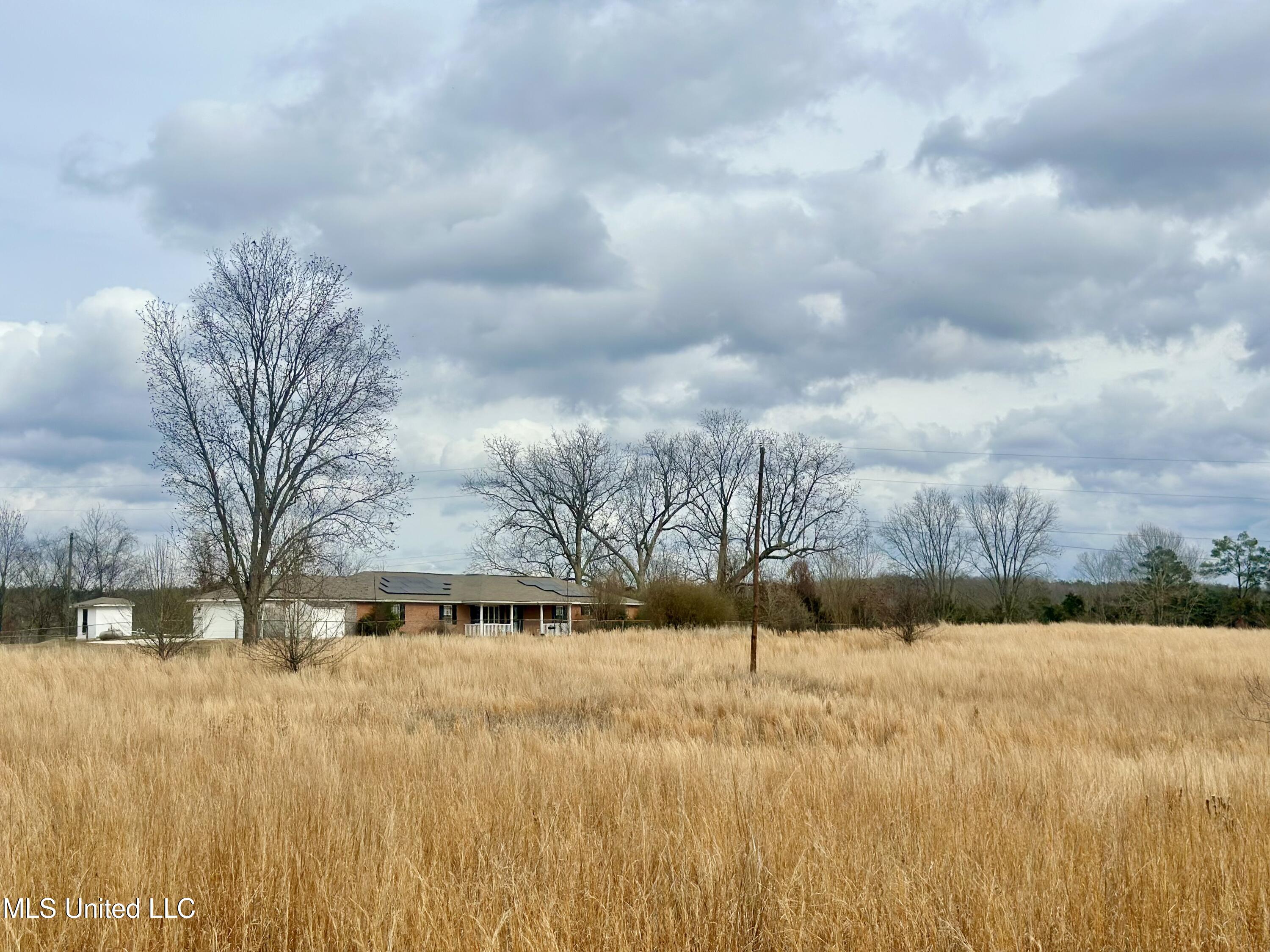 6525 Ebenezer-Pickens Road Pickens, MS 39146 - Photo 7 of 19 IMG_9501