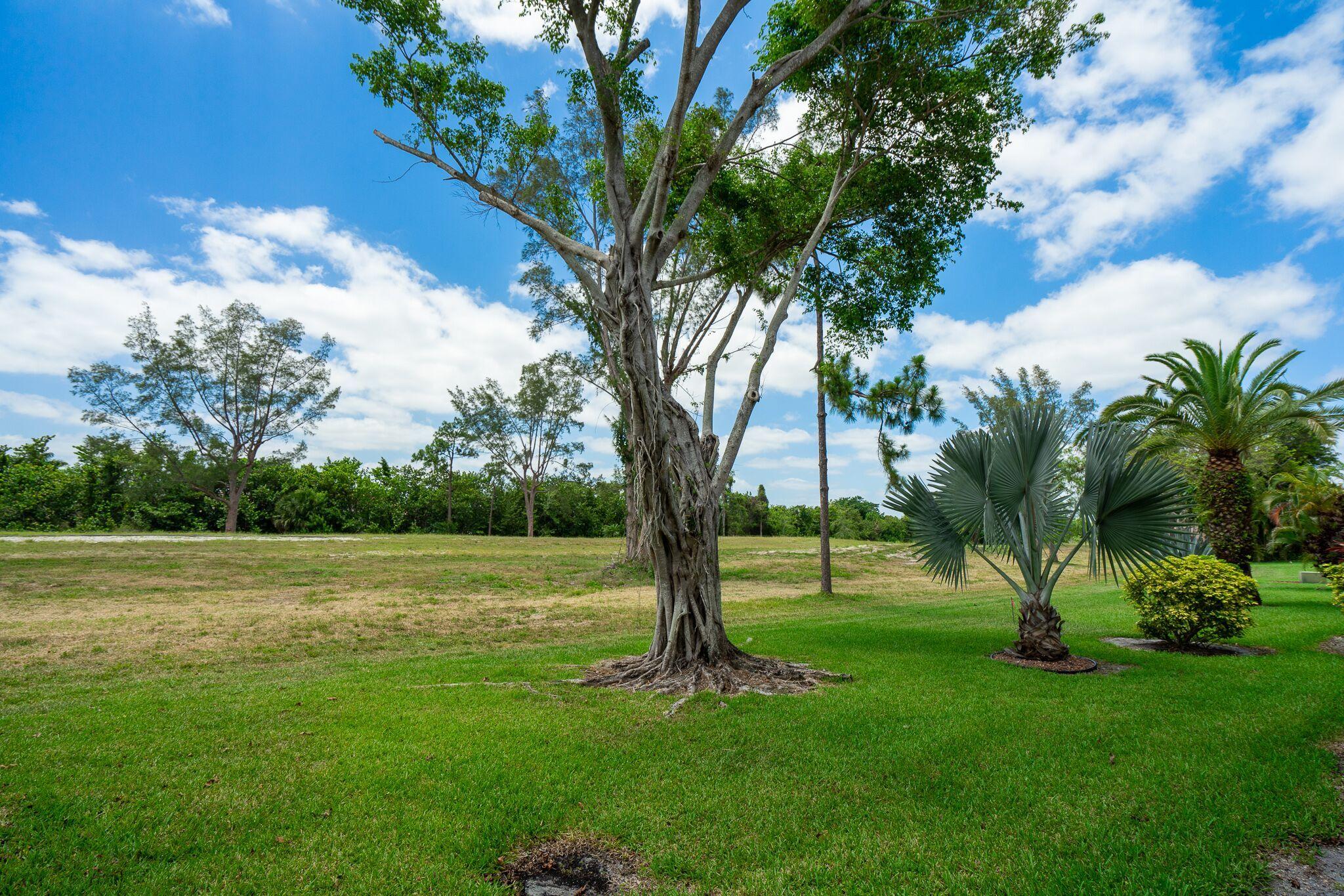 9276 Vista Del Lago, Unit E Boca Raton, FL 33428 - Photo 22 of 23 a view of outdoor space with trees