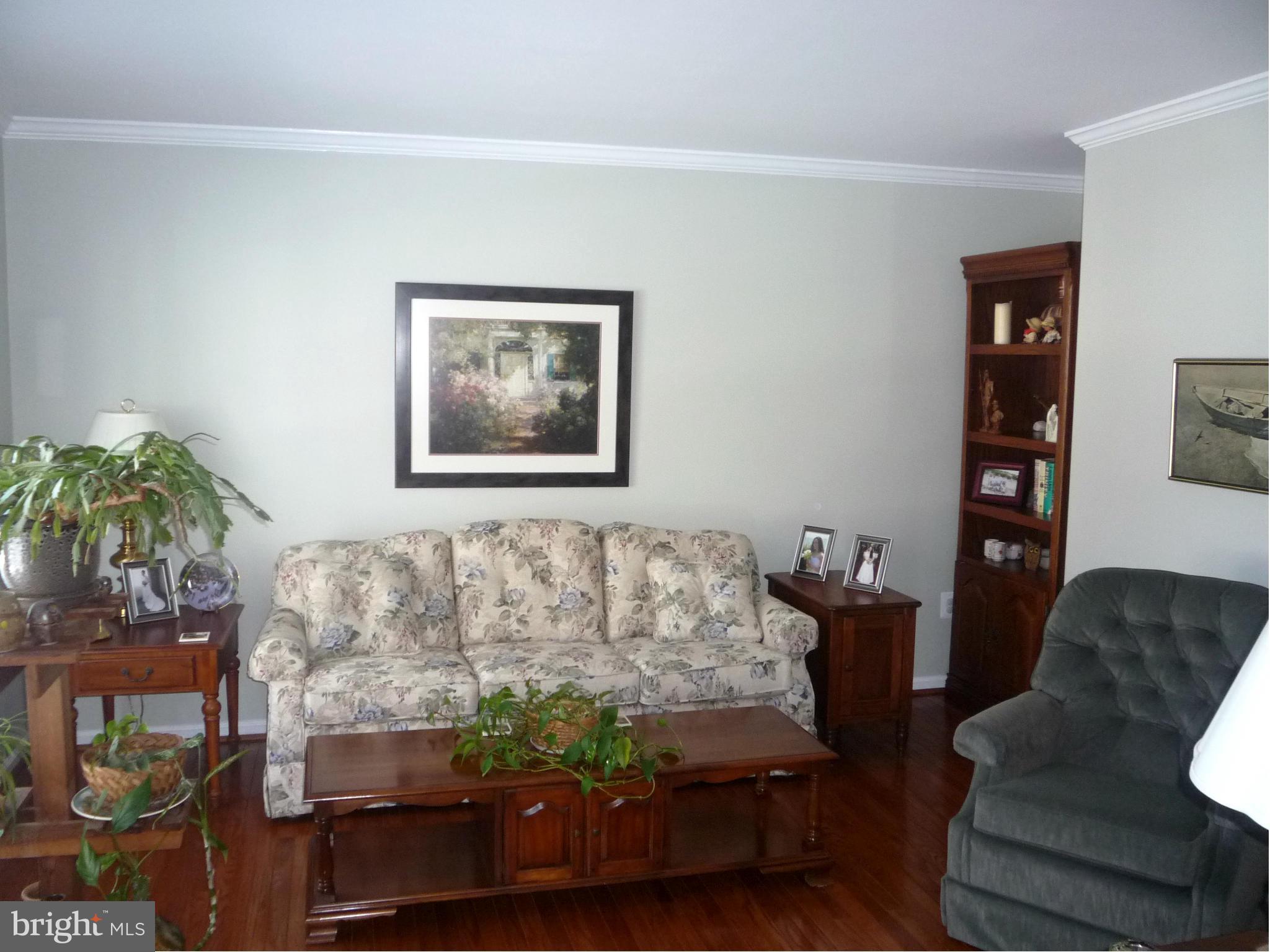 250 Lindenhall Court Riva, MD 21140 - Photo 7 of 29 a living room with furniture and a potted plant