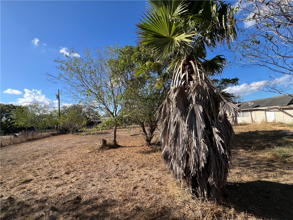 113 4th Street Mathis, TX 78368 - Photo 26 of 26 a view of a yard with a tree