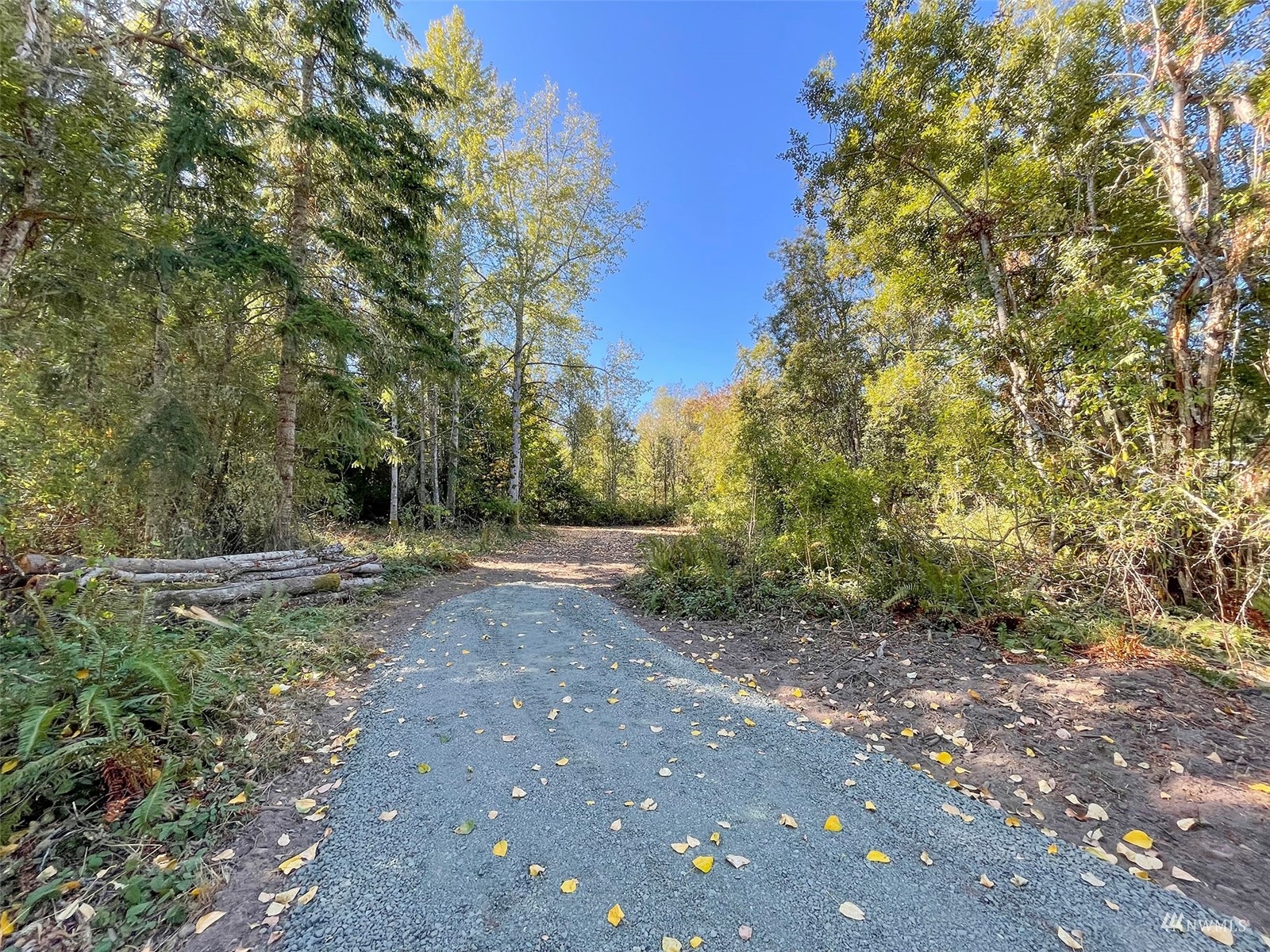 9999 Hughes Road Port Angeles, WA 98362 - Photo 2 of 40 Gallery Image 2