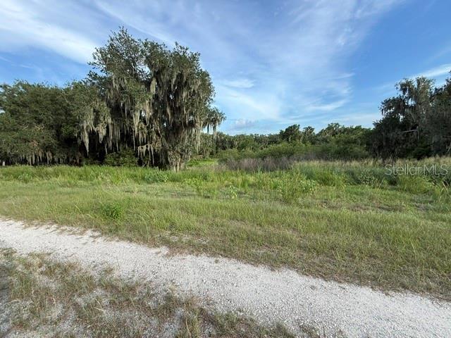 Pool Branch Road Fort Meade, FL 33841 - Photo 13 of 15 a view of a field with trees in background