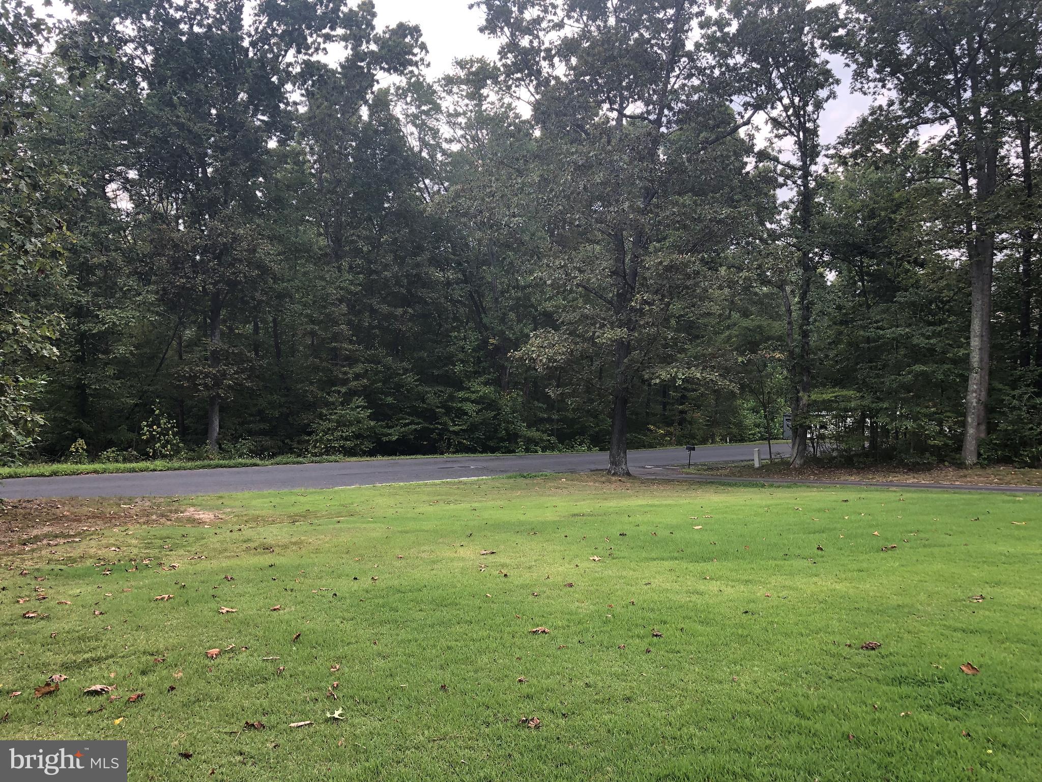 8533 Old Stillhouse Road Rixeyville, VA 22737 - Photo 31 of 36 Beautiful 5+ acre lot