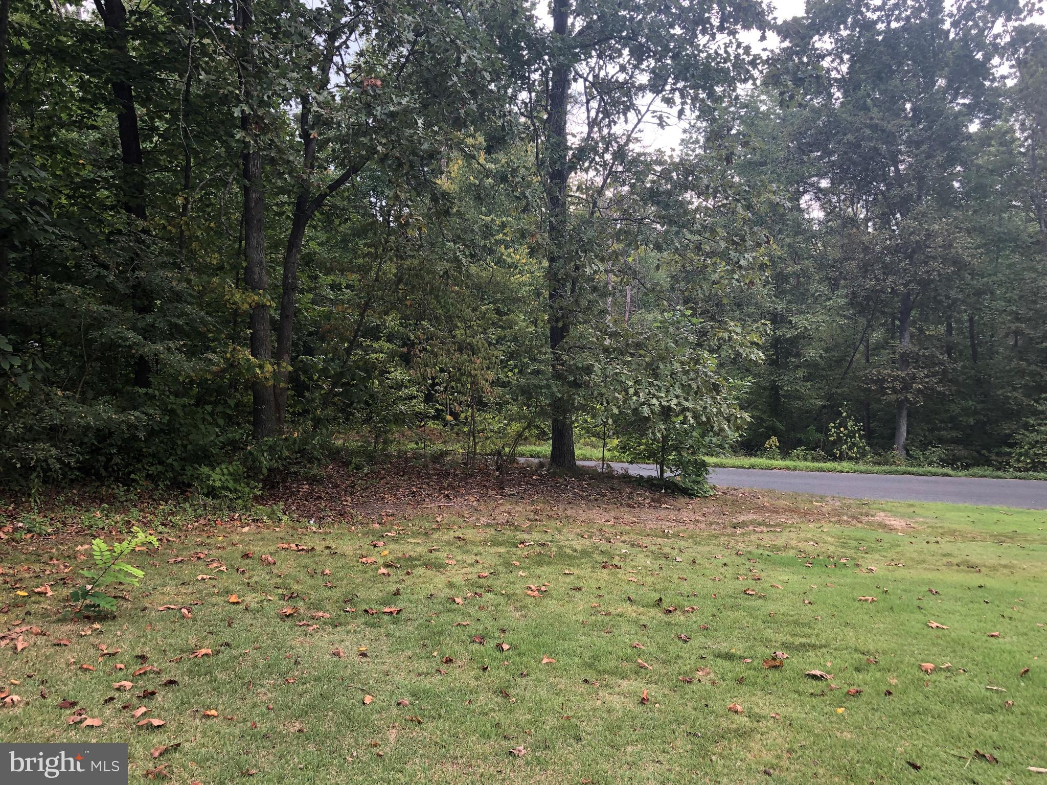 8533 Old Stillhouse Road Rixeyville, VA 22737 - Photo 32 of 36