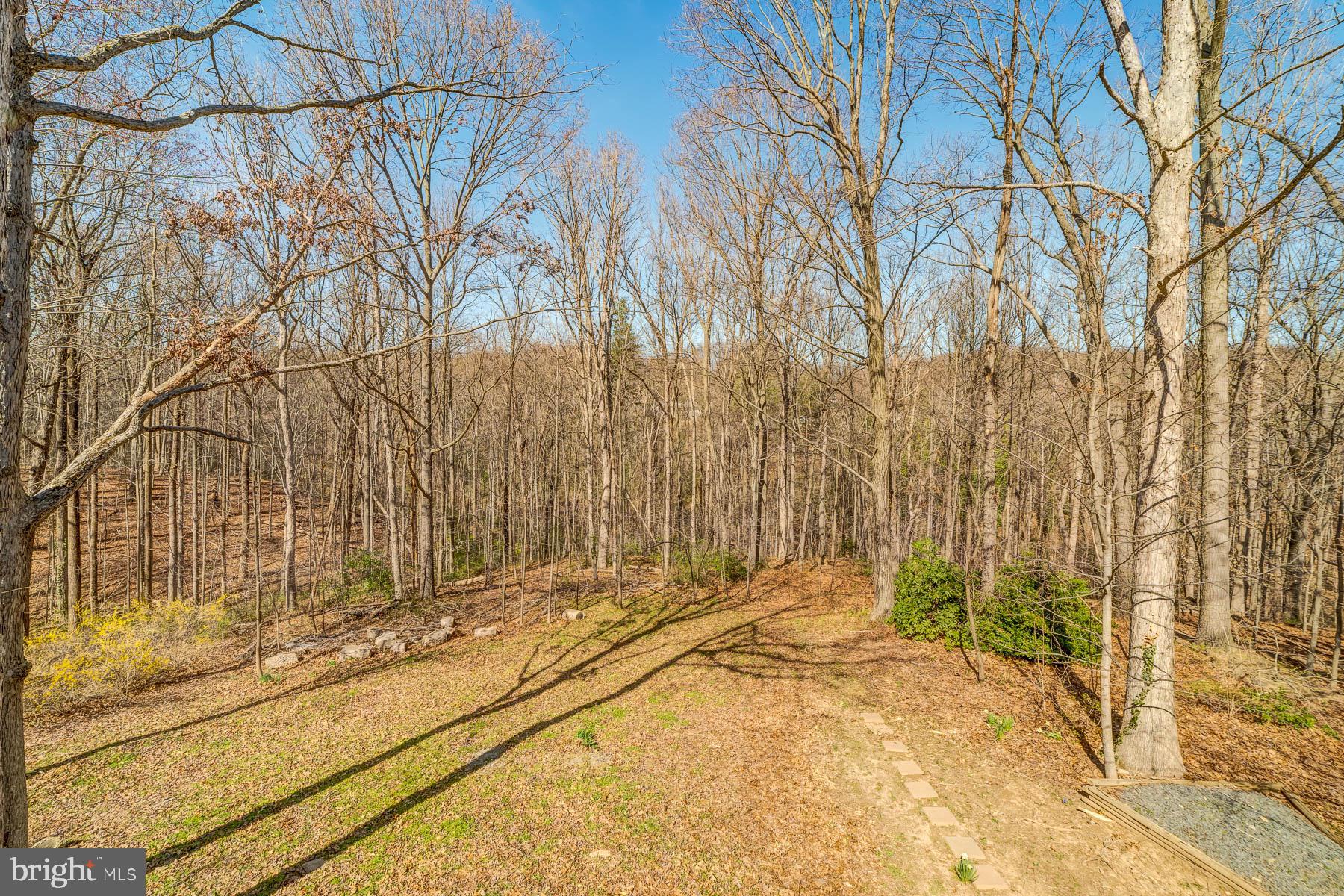 6813 Bluecurl Circle Springfield, VA 22152 - Photo 60 of 60 Gallery Image 60